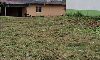 Se vende lote en Santa Isabel, Palenque, Colón