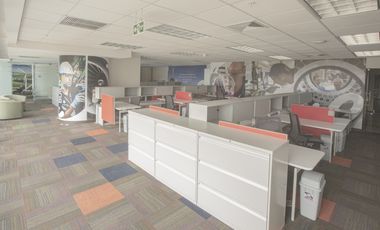 Oficina Amplia en Oceania Business Center – Ideal para Multinacionales