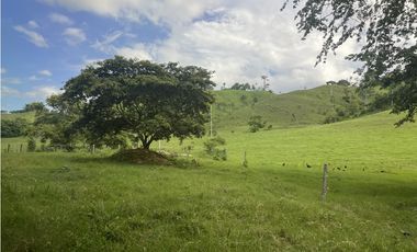 Venta de Finca Agropecuaria en Tortí – Chepo