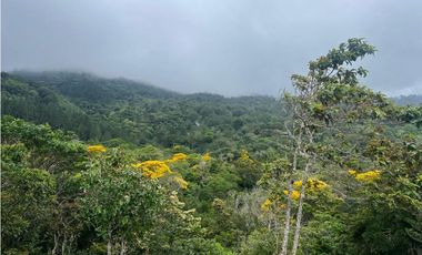 Venta de Finca Agropecuaria en Tortí – Chepo