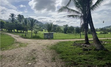 Venta de Finca Agropecuaria en Tortí – Chepo