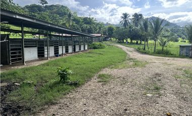Venta de Finca Agropecuaria en Tortí – Chepo