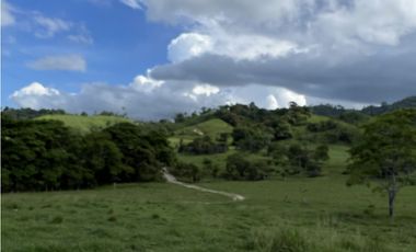 Venta de Finca Agropecuaria en Tortí – Chepo