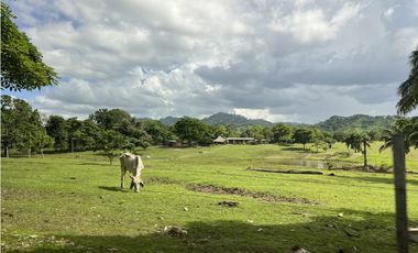 Venta de Finca Agropecuaria en Tortí – Chepo