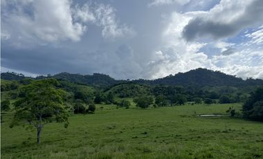 Venta de Finca Agropecuaria en Tortí – Chepo
