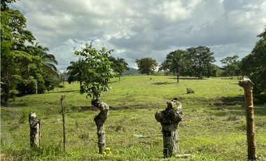 Venta de Finca Agropecuaria en Tortí – Chepo