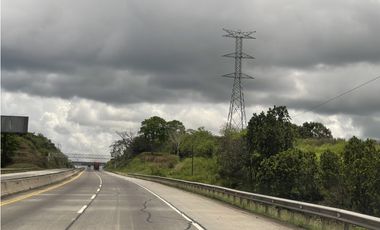 Finca 50 has en Buena Vista Colon