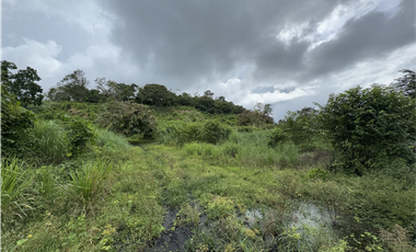 Finca 50 has en Buena Vista Colon