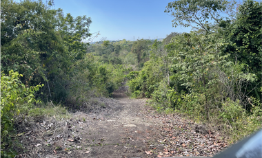 Finca 50 has en Buena Vista Colon