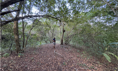 Finca 50 has en Buena Vista Colon