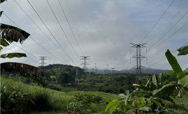 Finca 50 has en Buena Vista Colon