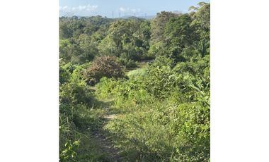 Finca 50 has en Buena Vista Colon