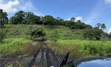 Finca 50 has en Buena Vista Colon