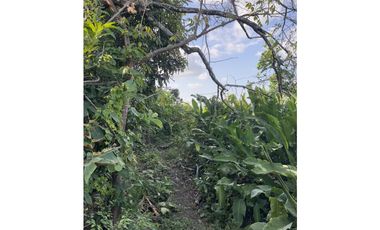 Finca 50 has en Buena Vista Colon