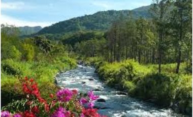 Venta de Propiedad Amoblada en Pino Alto, Boquete, Panamá