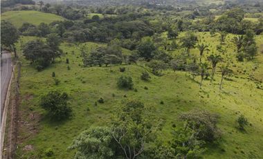 Se vende finca en La Chorrera, Panama Oeste