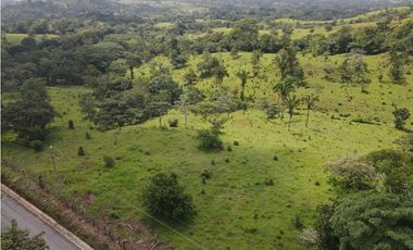 Se vende finca en La Chorrera, Panama Oeste