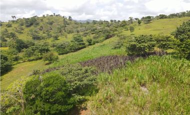 Se vende finca en La Chorrera, Panama Oeste