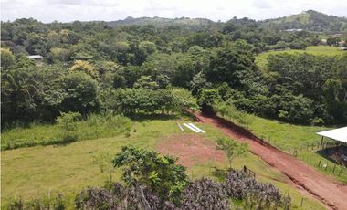 Se vende finca en La Chorrera, Panama Oeste