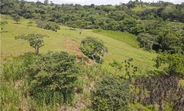 Se vende finca en La Chorrera, Panama Oeste