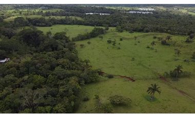 Se vende finca en La Chorrera, Panama Oeste