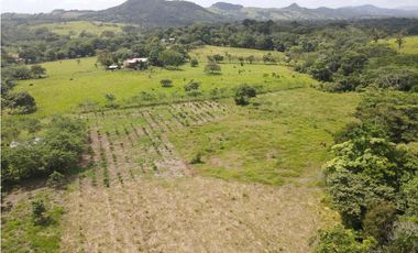 Se vende finca en La Chorrera, Panama Oeste