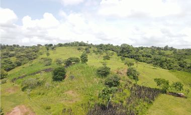 Se vende finca en La Chorrera, Panama Oeste