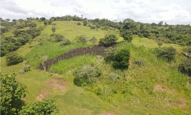 Se vende finca en La Chorrera, Panama Oeste