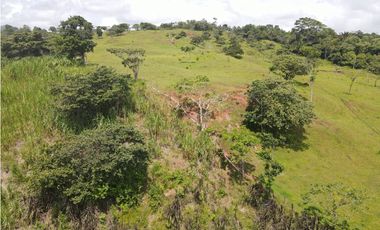 Se vende finca en La Chorrera, Panama Oeste