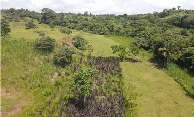 Se vende finca en La Chorrera, Panama Oeste
