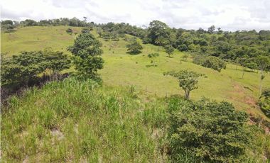 Se vende finca en La Chorrera, Panama Oeste