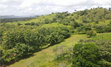 Se vende finca en La Chorrera, Panama Oeste