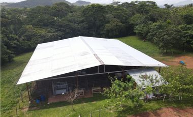 Se vende finca en La Chorrera, Panama Oeste