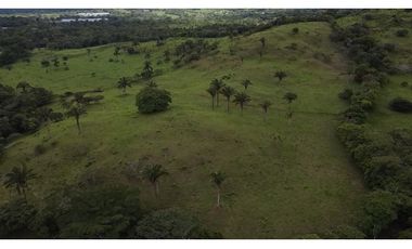 Se vende finca en La Chorrera, Panama Oeste