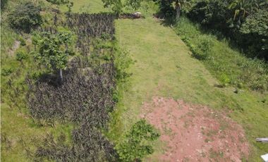 Se vende finca en La Chorrera, Panama Oeste