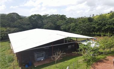 Se vende finca en La Chorrera, Panama Oeste