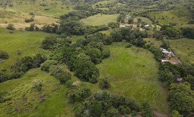 Se vende finca en La Chorrera, Panamá Oeste