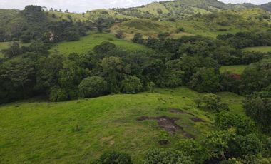 Se vende finca en La Chorrera, Panamá Oeste