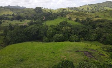 Se vende finca en La Chorrera, Panamá Oeste