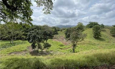 Se vende Finca en Viento Frío, Santa Isabel