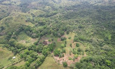 Se vende Finca en Viento Frío, Santa Isabel