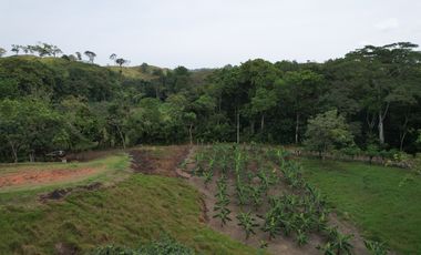 Se vende Finca en Viento Frío, Santa Isabel