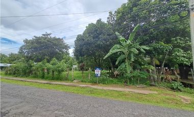 Lote en  Venta en Dolega