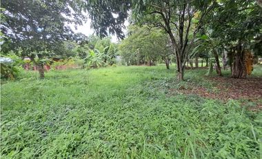 Lote en  Venta en Dolega