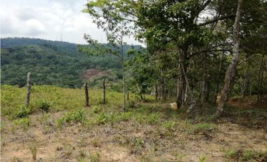 VENTA DE TERRENO EN CERRO AZUL REMATE