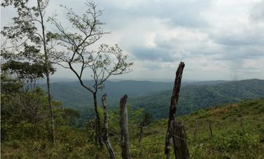 VENTA DE TERRENO EN CERRO AZUL REMATE