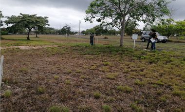 VENDEMOS LOTE EN CORONADO