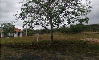 VENDEMOS LOTE EN CORONADO