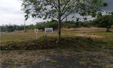 VENDEMOS LOTE EN CORONADO