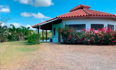 Hacienda La Maya, San Carlos, Provincia de Panamá Oeste